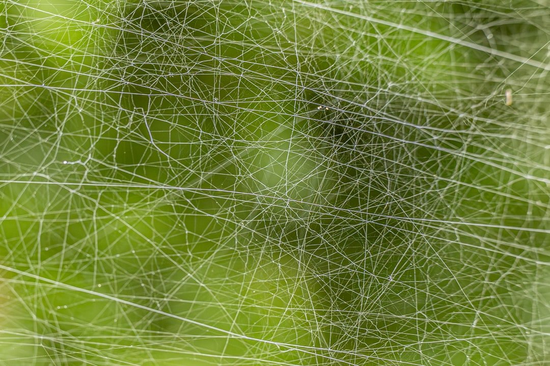 web crawler python data 2026